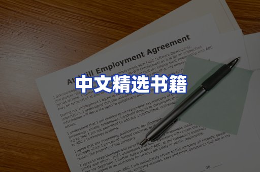 中文精选书籍